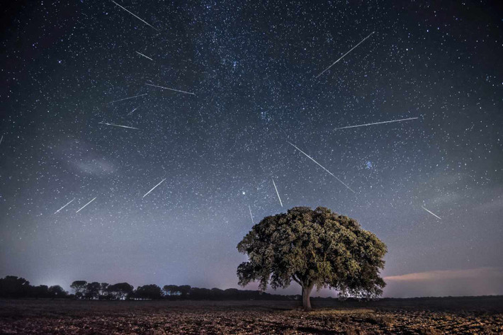 Trận mưa sao băng Perseids sẽ đạt cực điểm vào đêm 12, rạng sáng 13/8 với khoảng 80 sao băng mỗi giờ.