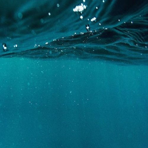 Trong những năm sau đó, âm thanh “bloop” được ghi lại rất nhiều lần ở khu vực gần Xích đạo thuộc biển Thái Bình Dương. Chuỗi âm thanh bí ẩn này thường kéo dài trong khoảng 1 phút và được thu trên rất nhiều cảm biến âm cùng lúc.