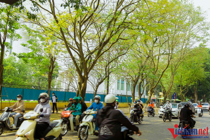 Chị Hồ Thị Thành (23 tuổi, Mỹ Đình, Nam Từ Liêm, Hà Nội) cho biết, hôm nay tranh thủ thời tiết cuối tuần nắng nhẹ, chị cùng bạn lên phố Hoàng Hoa Thám chụp ảnh, dạo phố.