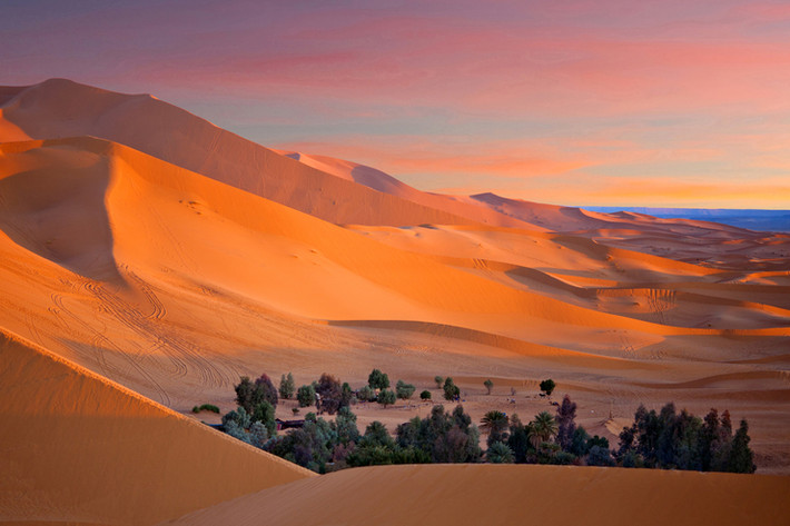 Điều này đồng nghĩa với việc sa mạc Sahara sẽ có sự thay đổi đáng kể về diện mạo khi cây xanh phủ kín nhiều nơi hơn so với hiện nay.