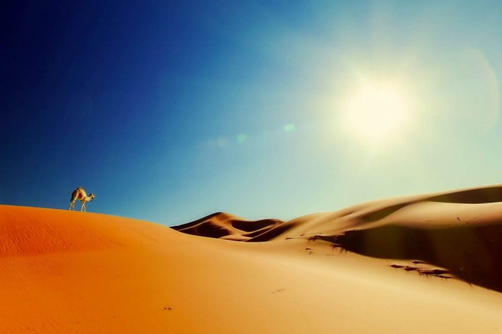 Sahara là sa mạc lớn nhất thế giới. Theo ghi nhận của các nhà khoa học, nhiệt độ vào ban ngày ở sa mạc Sahara có thể lên tới 58 độ C. Độ ẩm hay lượng hơi nước trong không khí ở sa mạc Sahara là gần như bằng không.