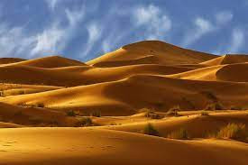 Một điều khác là nếu lắp đặt pin Mặt trời phủ kín sa mạc Sahara sẽ dẫn đến một số thay đổi lớn về khí hậu và cảnh quan trong khu vực cũng như đe dọa hệ sinh thái địa phương.