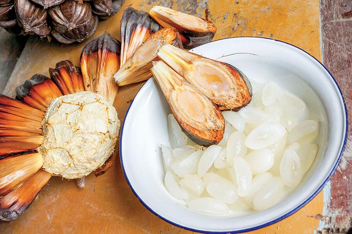 Dừa nước: Đây là món giải khát tuyệt vời vào mùa hè. Dừa nước còn góp phần làm nên bao món ngon miền Nam như: chè, làm mứt dẻo, pha chế cocktail. Nước dừa ngọt thanh, ăn kèm với cùi dừa sần sật chính là những gì bạn có thể thưởng thức từ loại quả đặc biệt này.