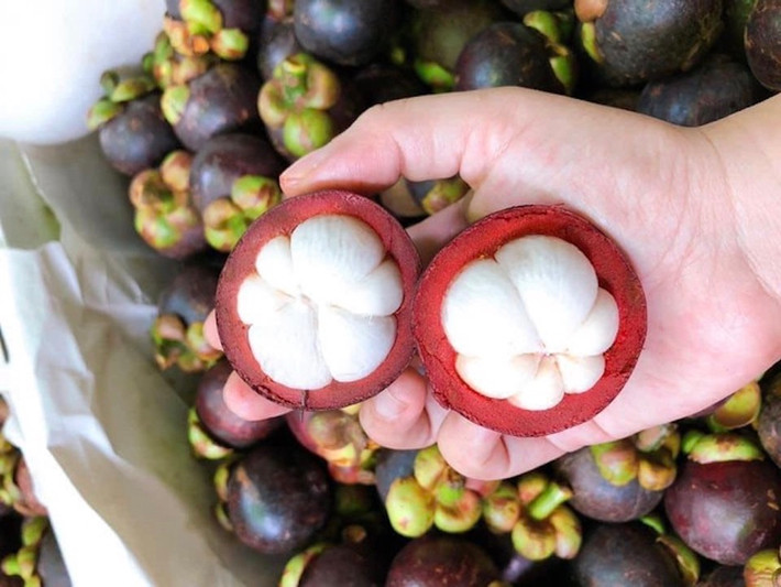 Măng cụt: Vị chua chua, ngọt ngọt thanh mát của măng cụt đã khiến nhiều du khách ăn rồi nhớ mãi. Không quá kén người ăn như sầu riêng cũng không nóng như chôm chôm, mùa hè là thời điểm măng cụt được ưa chuộng hơn bao giờ hết.