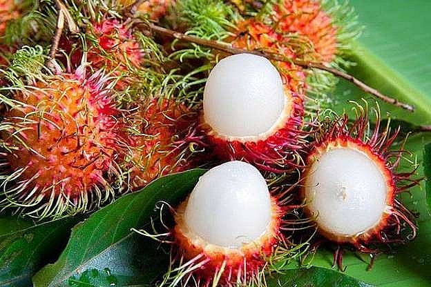Chôm chôm – loại trái cây đặc sản miền Tây gắn liền với những ký ức tuổi thơ. Chôm chôm được trồng nhiều tại các tỉnh như Bình Dương, Bến Tre, Đồng Nai,... và có nhiều loại. Trong số đó, chôm chôm tróc hạt, chôm chôm nhãn được yêu thích hơn cả nhờ vị ngọt và thịt giòn.