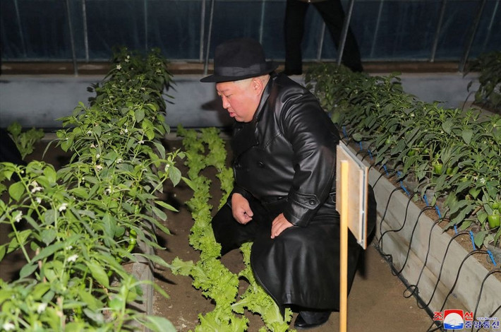 Ông Kim Jong-un kêu gọi xây dựng thêm nhiều trang trại lớn, đa dạng chủng loại rau củ quả và đảm bảo sản xuất, quản lý khoa học, công nghiệp hóa tại các trang trại đó.