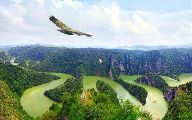 Sông Uvac chảy qua Serbia, Bosnia và Herzegovina. Dòng sông có nước màu xanh lá cây và uốn lượn quanh co, tạo ra cảnh tượng vô cùng hùng vỹ.