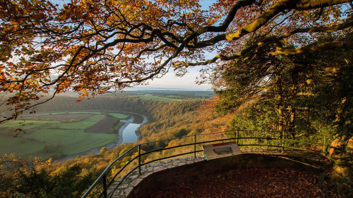Rừng Dean, Anh: Khu rừng cổ xưa ở Gloucestershire từng là nơi săn bắn của hoàng gia và cây ở đây được dùng làm tàu chiến Tudor.