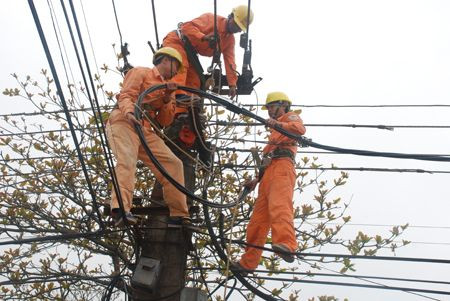Theo báo cáo của Tập đoàn Điện lực Việt Nam (EVN), viên chức quản lý tập đoàn gồm có 13 người, có thu nhập trên dưới 600 triệu đồng năm 2015. Các lãnh đạo này đều đa phần có bằng cấp tiến sĩ, thạc sĩ. Đặc biệt, nhiều lãnh đạo có bằng thạc sĩ liên quan đến lĩnh vực điện năng.