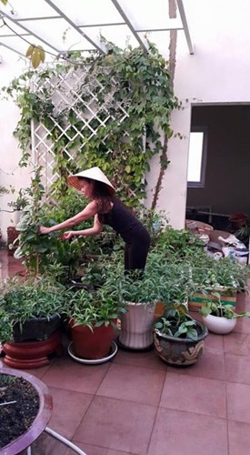 Mẹ Hồ Ngọc Hà chăm chút cây cối trong gia đình.