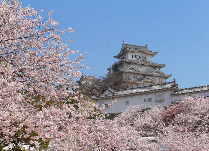 Himeji cũng nằm trong số 12 lâu đài được bảo tồn tốt nhất và còn gần như đến ngày nay sau hàng trăm năm tồn tại.