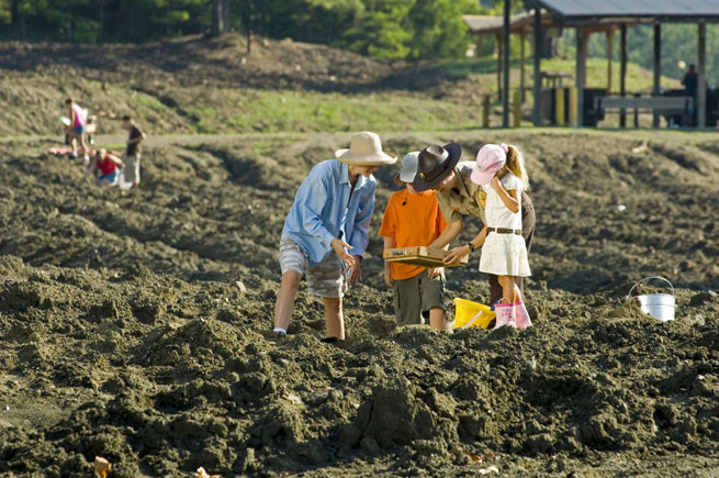 Hình ảnh các du khách cần mẫn đào xới, sàng lọc đất đá tại mỏ kim cương Crater of Diamonds ngày nay không còn là điều mới mẻ.