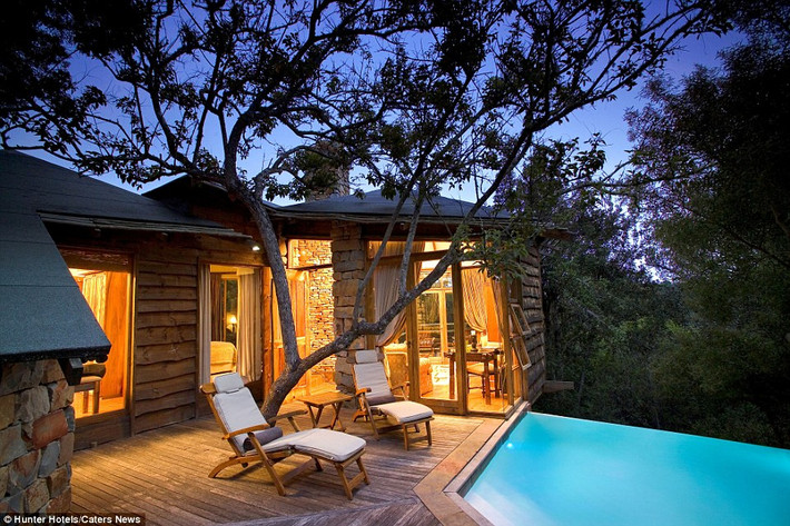 Các phòng khách sạn Tsala Treetop Lodge được thiết kế tinh tế bằng đá và kính.