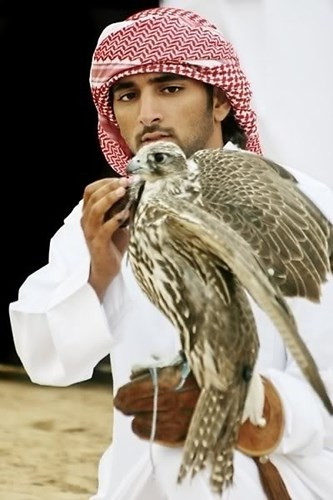 Loài động vật mà Thái tử Dubai Hamdan bin Mohammed bin Rashid Al Maktoum yêu thích nhất là chim ưng.
