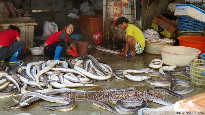 Sau những ngày bám biển để đánh bắt, ngư dân Trung Quốc thu về được rất nhiều lươn biển.