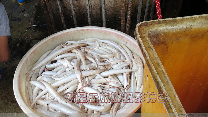 Một chậu đựng bong bóng của lươn biển.