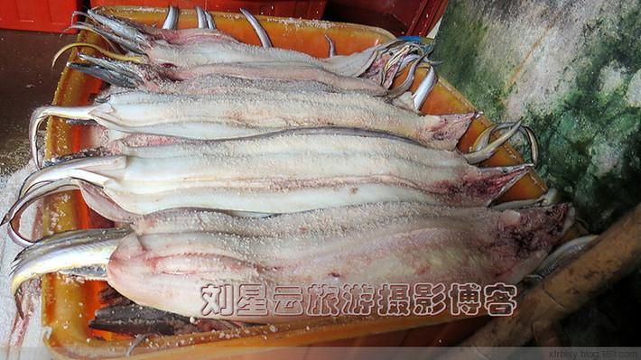 Sau đó lươn biển được xếp gọn gàng vào những chiếc thùng lớn để bảo quản.