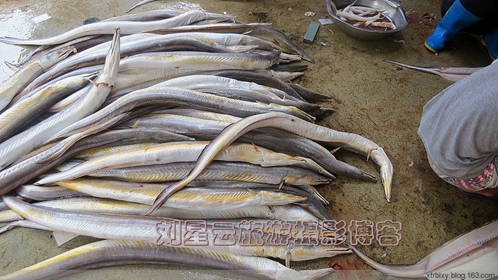 Những con lươn biển được tập trung tại một cơ sở chuyên sơ chế bảo quản hải sản ở đảo Hải Nam (Trung Quốc) để bảo quản.