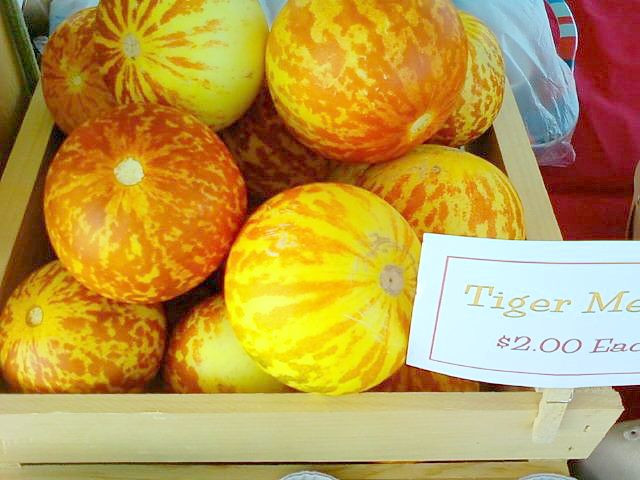 Giống dưa vàng Tigger được ví như Hoàng đế hay Vua của các loại dưa bởi có hương vị ngon ngọt, hấp dẫn.