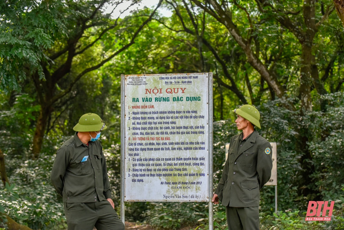 Do là rừng đặc dụng, giống cây quý có tên trong sách đỏ Việt Nam nên người dân ra vào rừng Tam Quy phải tuân thủ nghiêm ngặt các quy định pháp luật, nghiêm cấm chặt phá, đốt lửa... Lực lượng kiểm lâm lập nhiều biển báo, cắm chốt ở các điểm có đường dân sinh ngang qua.