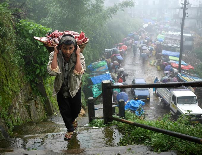 Một trong những đặc điểm hấp dẫn và đẹp nhất trong khu vực là những "cây cầu sống" bắc qua các thung lũng ngập nước mưa.
