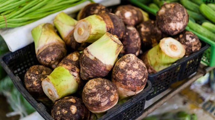 Thúc đẩy làn da khỏe mạnh: Vitamin A, vitamin E và chất chống ô xy hóa có trong khoai môn, giúp tăng cường sức khỏe làn da. Cả vitamin và chất chống oxy hóa đều trẻ hóa các tế bào bị hư hại và giảm nếp nhăn và nhược điểm trên da.