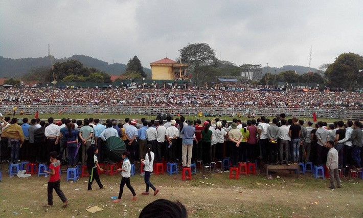 Ngày 1/3 (11 tháng Giêng năm Ất Mùi), hàng vạn du khách đã đến tham dự chung kết lễ hội chọi trâu huyện Hàm Yên (Tuyên Quang) năm 2015.
