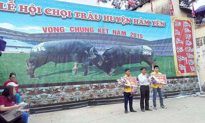 Kết thúc vòng chung kết, Ban Tổ chức đã trao giải Nhất cho trâu số 56 của ông Nguyễn Đình Khoa (xã Tân Thành, huyện Hàm Yên, Tuyên Quang), giải Nhì thuộc về trâu số 18 của ông Đinh Văn Thành (xã Thái Sơn, Hàm Yên, đồng giải Ba là trâu số 4 của ông Nguyễn Bá Linh (tỉnh Đồng Nai) và trâu số 6 của ông Tạ Đình Tùng (xã Đức Ninh, huyện Hàm Yên, Tuyên Quang).