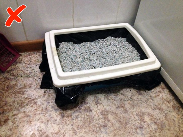 2. Hộp đựng cát mèo: Nếu đặt hộp vệ sinh của thú cưng trong phòng tắm, cát mèo trong hộp sẽ hấp thụ hơi nước từ không khí và góp phần gây ra mùi khó chịu. Các nhà sản xuất khuyến cáo nên bảo quản cát cho mèo vệ sinh ở nơi khô ráo, thoáng khí.