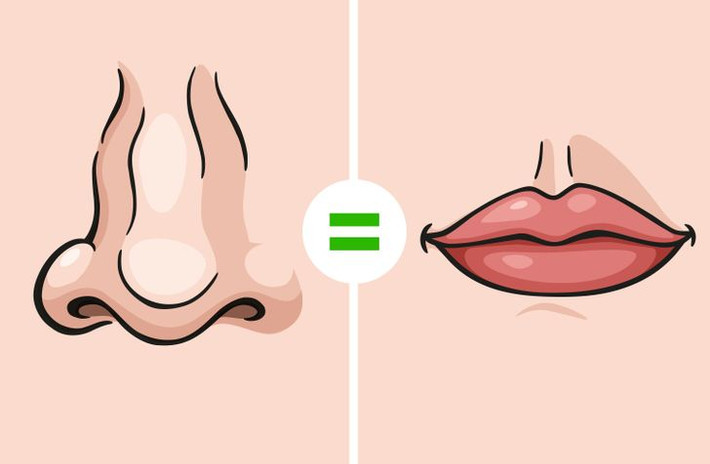 10. Mũi của chúng ta cũng chịu trách nhiệm về nhận thức vị giác. Thực tế, khứu giác của chúng ta chịu trách nhiệm về khoảng 80% mùi vị của chúng ta. Nếu không có nó, chúng ta sẽ chỉ nếm trải các cảm giác ngọt, mặn, chua và đắng. Tất cả các hương vị khác thực sự đến từ khứu giác. Đây là lý do tại sao, khi chúng ta bị cảm lạnh và tắc mũi, hầu hết các loại thức ăn đều có vẻ vô vị. Ảnh: BS.
