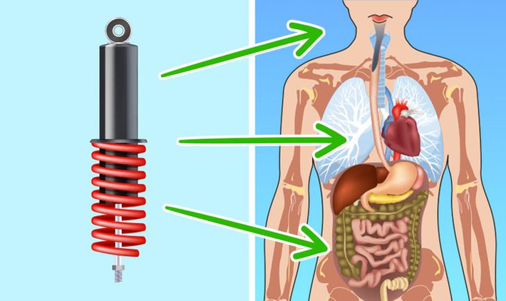 9. Chúng ta có "bộ giảm xóc" trên khắp cơ thể. Các nhà khoa học đã khám phá ra cấu trúc phân tử trong cơ thể có chức năng như một “bộ giảm xóc” đối với chúng ta. Các nhà nghiên cứu nói rằng phát hiện này làm sáng tỏ câu hỏi làm thế nào cơ thể chúng ta thích nghi với mô sống mà không bị xé vụn do tương tác của nó với rất nhiều bộ phận chuyển động.