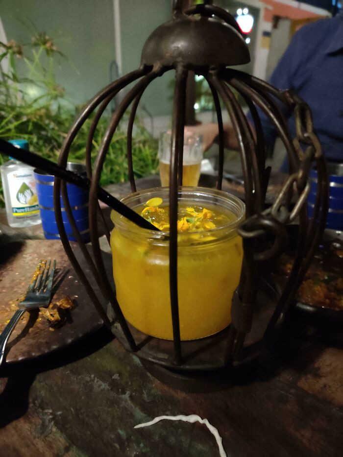 Món cocktail lồng chim dành cho những người yêu động vật?