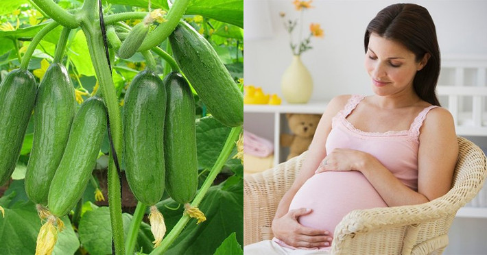 Đối với phụ nữ đang mang thai: Ăn quá nhiều có thể gây ra một số tình trạng khó chịu cho thai phụ: Tác dụng lợi tiểu tự nhiên của dưa chuột sẽ khiến mọi người phải đi vệ sinh nhiều hơn và do có nhiều chất xơ nên dưa leo sẽ gây đầy hơi, khó tiêu, thậm chí còn làm họ bị đau bụng.