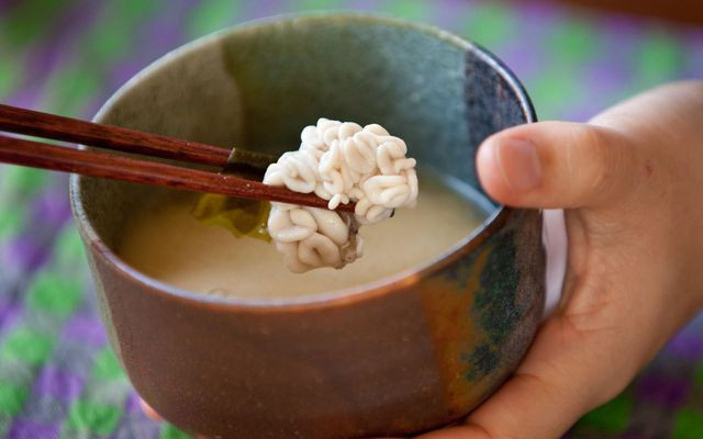 Nếu không thể ăn sống Shirako thì thực khách có thể chiên hoặc hấp, mùi vị ngon không kém. Đây thực sự là món ăn không thể thiếu khi muốn trải nghiệm ẩm thực Nhật Bản.