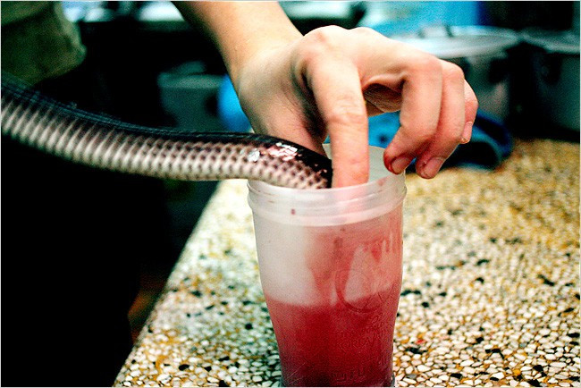 Máu rắn hổ mang: Không phải ai cũng có đủ can đảm thưởng thức một cốc máu rắn hổ mang. Người dân bản địa cho biết loại đồ uống này giúp tăng cường sinh lực cho nam giới. Ảnh: Internet. Video "Chế biến món ngon từ nấm đông cô". Nguồn: VTC.