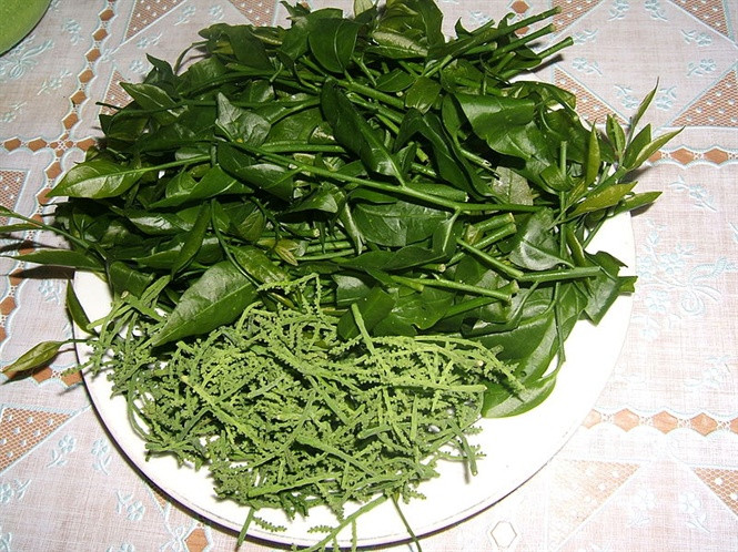 Rau sắng, còn gọi là rau ngót rừng. Loại rau này thường có vào khoảng đầu hạ, nhiều nơi bán cả trăm ngàn một 1kg, nhưng Sơn La thì chỉ 10 ngàn là có một bó rau đủ cho cả nhà ăn thoải mái.