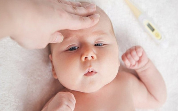 Hạ sốt bằng rau diếp cá, ngải cứu hoặc lá bỏng: Khi trẻ bị sốt, mẹ có thể lấy lượng nhỏ lá diếp cá, ngải cứu hoặc lá bỏng giã nhỏ, dùng miếng vải bọc lại và đắp lên trán trẻ. Đắp trong vòng nửa tiếng rồi lấy nước ấm lau sạch. Đây là cách giúp hạ sốt nhanh cho trẻ mà không cần dùng đến thuốc.