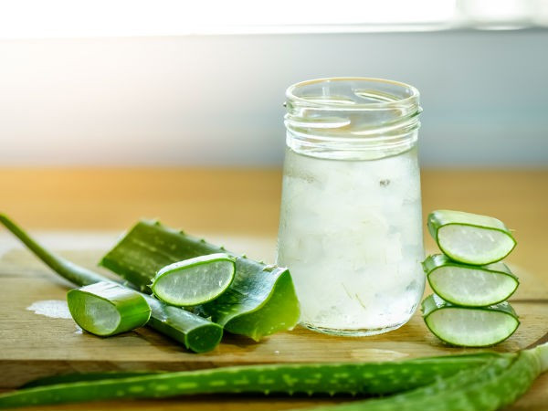 Sữa chua và nha đam: Trộn 1 thìa canh gel nha đam với 1 thìa canh sữa chua, thoa lên mặt trước khi đi ngủ và giữ qua đêm. Xả sạch với nước khi ngủ dậy. Nha đam giàu chất chất thiết yếu giúp nuôi dưỡng và duy trì độ đàn hồi cho da.