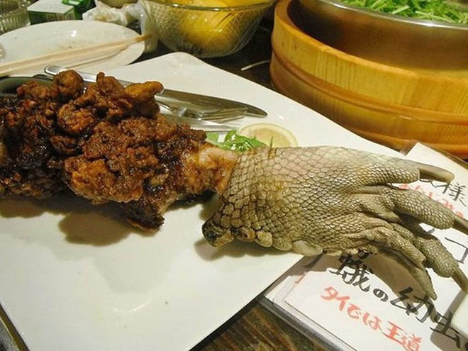 Tuy nhiên, nếu bỏ qua vẻ bề ngoài xù xì và không mấy thiện cảm thì mùi vị của nó lại được ví là ngon như thịt gà.