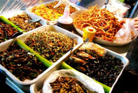 Các loài côn trùng được tẩm ướp gia vị rồi chiên vào chảo mỡ cho giòn tan và mùi thơm béo ngậy khá hấp dẫn.