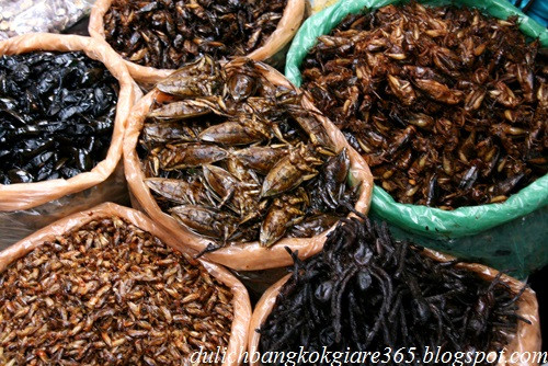 Những người dân làm nghề buôn bán và chế biến món ăn từ côn trùng có thể thu được nguồn lợi khá lớn, đặc biệt là vào những mùa du lịch.
