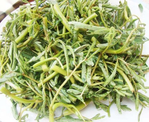 Cá bông lau rau nhút: cá bông lau, cà chua bi, rau nhút, rau ngổ, khế, sả, ớt, gia vị vừa đủ nấu canh ăn. Công dụng: bổ hư, mát huyết sinh tân… Thích hợp cho người mắc chứng huyết hư thiểu năng tuần hoàn não, ù tai, miệng khô khát, phong thấp nhức mỏi, mụn nhọt, lở ngứa. Ảnh: Internet. Video "Chế biến món ngon từ nấm đông cô". Nguồn: VTC.