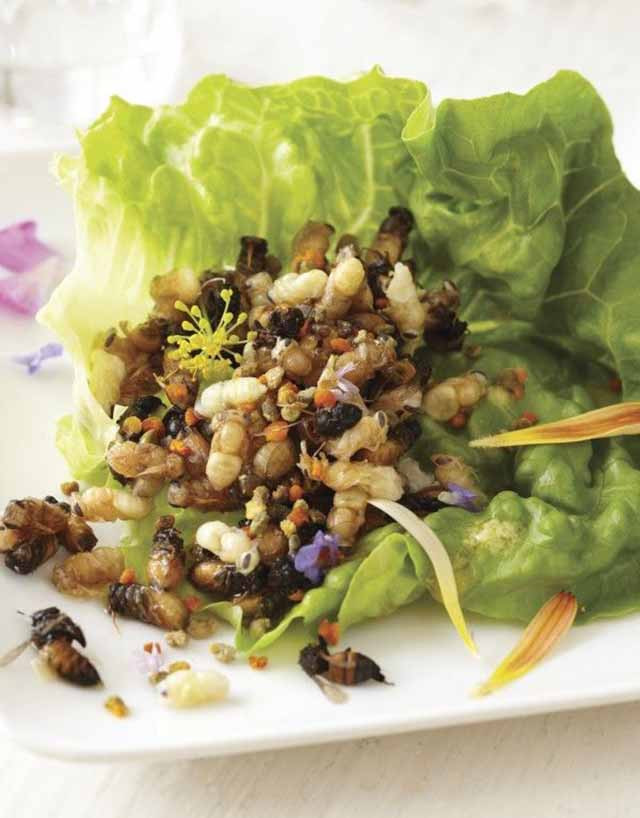 Món salad nhộng ong không được bày bán phổ biến và ngày càng khó tìm mua được. Do đó, để thưởng thức được món ăn này chỉ có người dân bản địa đãi khách quý mà thôi.