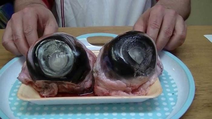 Ở Phú Yên, mắt cá ngừ được chế biến thành nhiều món ăn khá đa dạng như chưng cách thủy, nấu canh... nhưng nổi tiếng nhất là món mắt cá ngừ tiềm thuốc bắc rất bổ dưỡng.