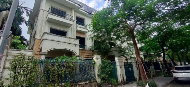 Do không có người ở, nên cây cối mọc um tùm bao vây những căn biệt thự, liền kề đắt tiền.