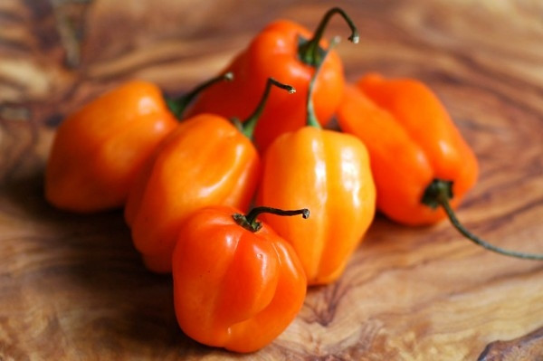 Khác với giống ớt trắng, ớt Habanero loại thông thường có màu cam. Dù cay hơn ớt trắng một chút nhưng hai giống ớt này được sử dụng với mục đích tương tự nhau như làm nước sốt, gia vị.