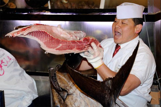 Tại một số nhà hàng sushi hạng sang ở Tokyo, mỗi miếng sushi cá ngừ vây xanh được bán với giá lên tới 16 bảng Anh (hơn 534.000 đồng).