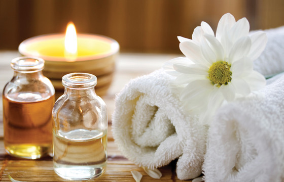 Khách hàng sống trong khu căn hộ siêu sang này cũng có thể tận hưởng cuộc sống tuyệt vời nhiều loại hình spa cao cấp được chọn lọc từ nhiều địa danh nổi tiếng như: Bali, Cheju, Kyoto, Pattaya...