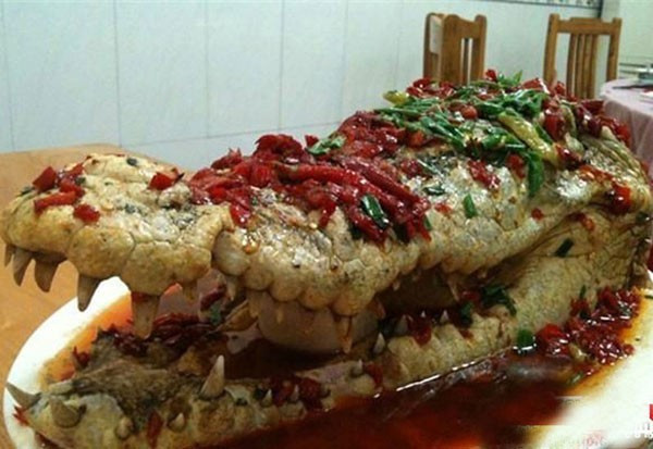 Vừa qua, tiệc cưới của một đại gia ở thành phố Tiêu Sơn, tỉnh Chiết Giang (Trung Quốc) cũng khiến các thực khách hoảng hồn khi thấy gia chủ bày một con cá sấu trên bàn tiệc. Con cá sấu được nấu theo cách sốt cà chua. Những người phục vụ xẻ thịt con vật và đem tới các mâm để phục vụ khách.
