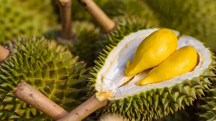 Đầu tiên, hãy nhìn vào hình dạng quả. Có hai loại sầu riêng, một loại dài và một loại hình tròn.